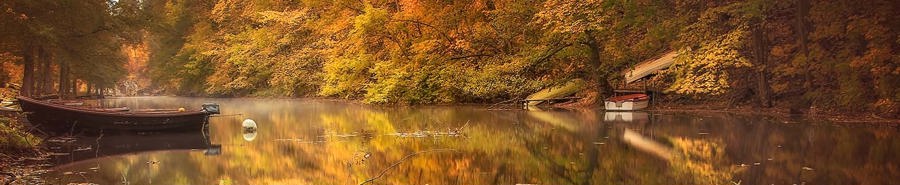 Herbst Poster & Art Prints