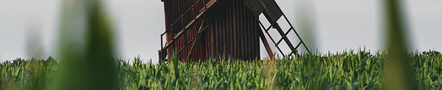 Öland posters & Art Prints