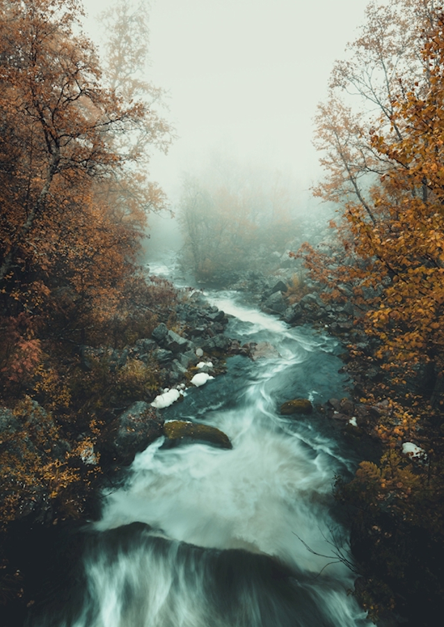 Autumn flow 