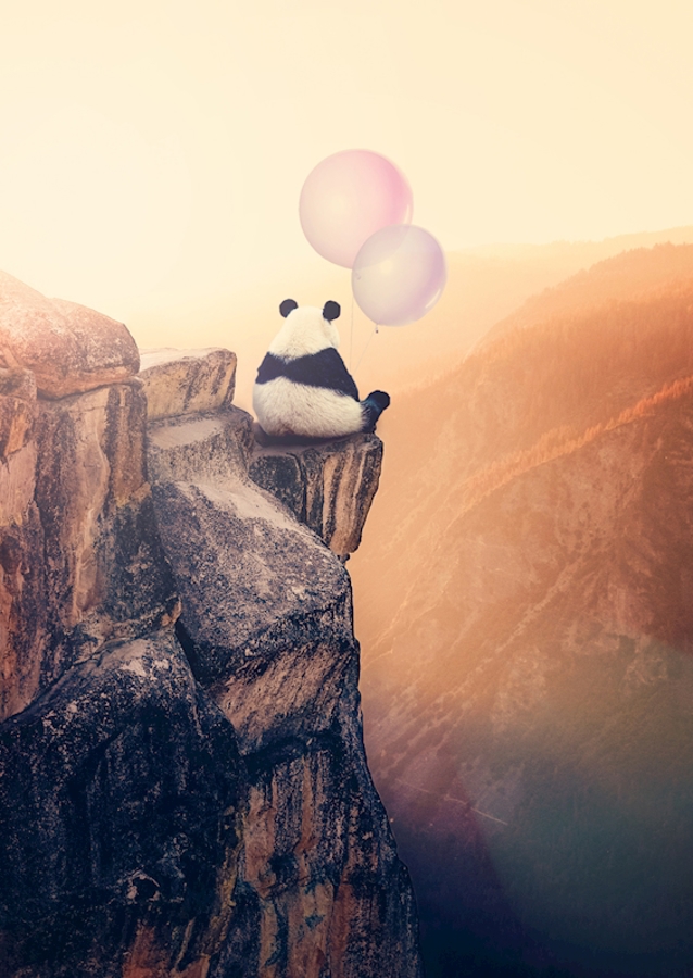 Panda & the balloons