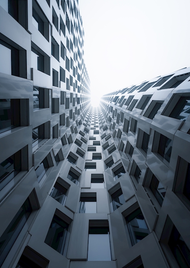Perspective