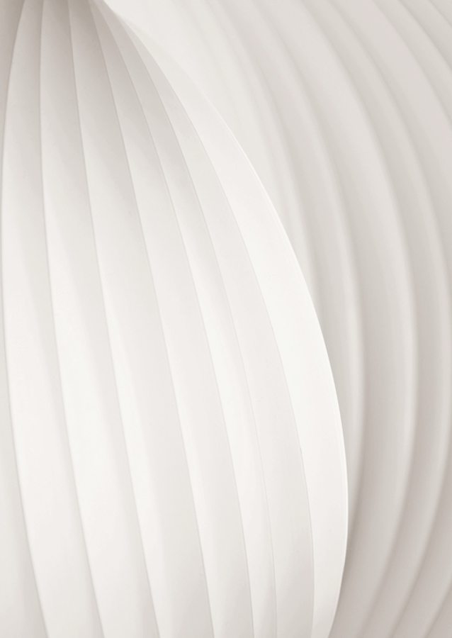 Shades of White